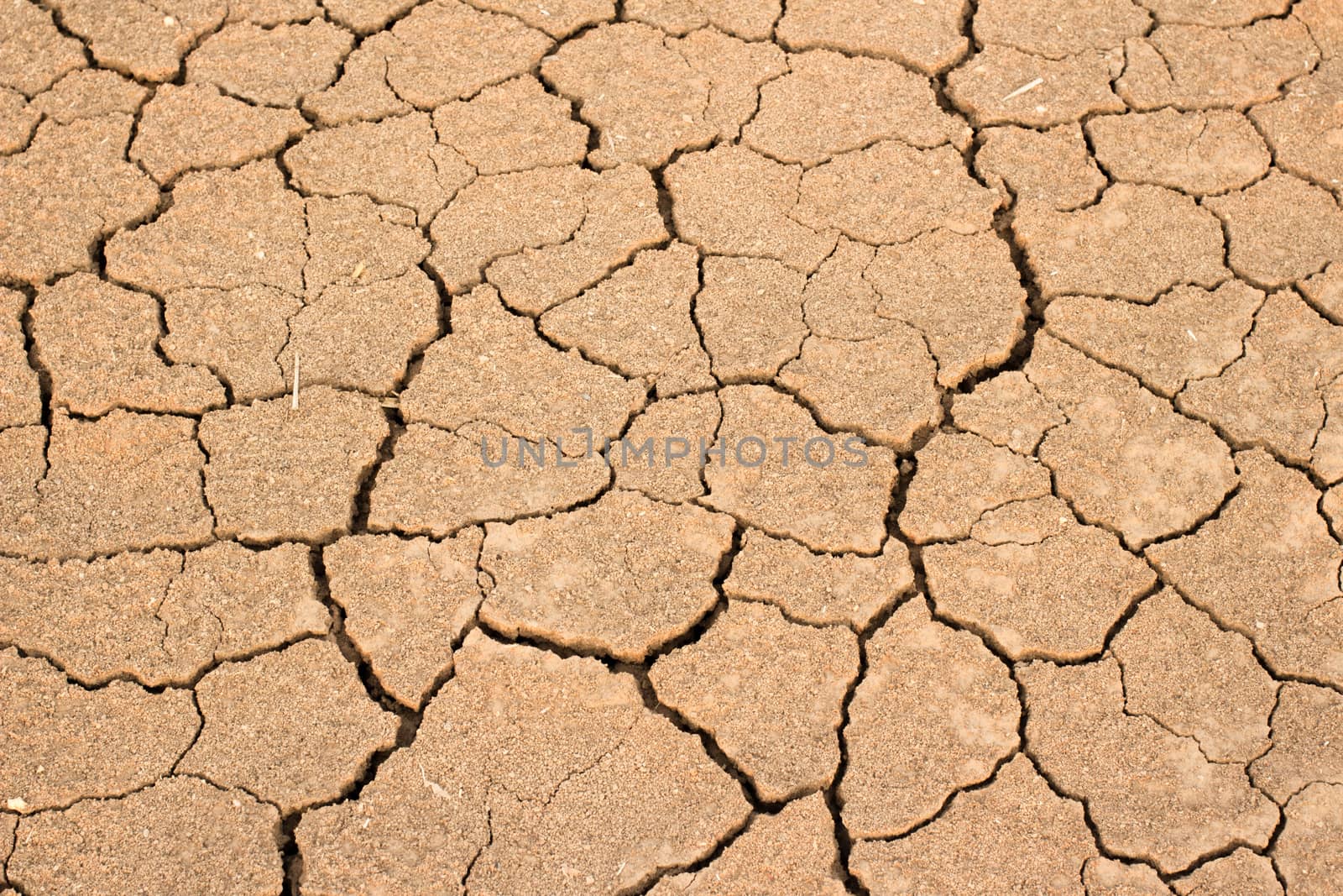 Drought land background texture