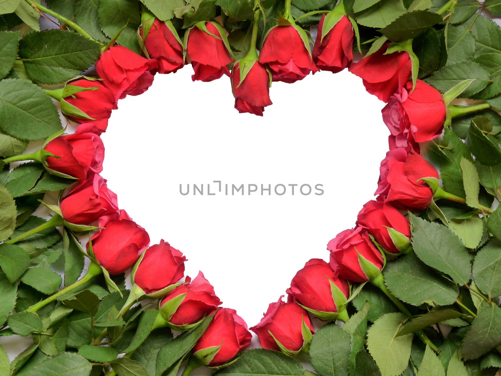 Heart made of red roses with stem and green leaves