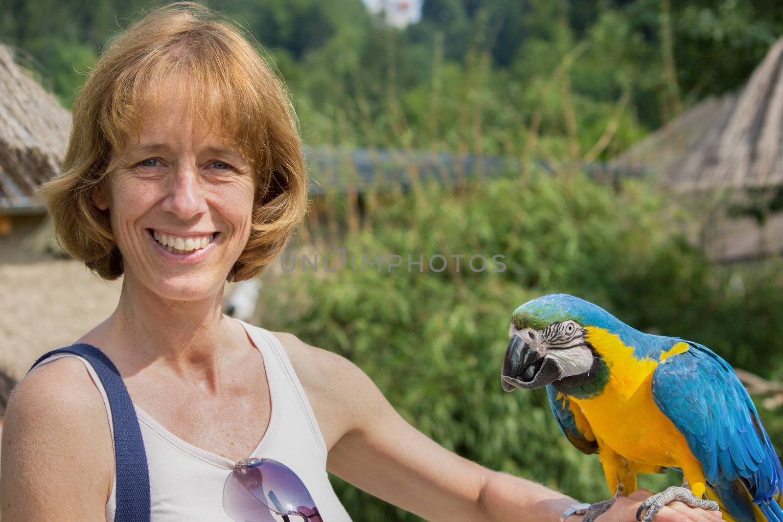 Woman holding blue and yellow macaw on her arm in Zoo