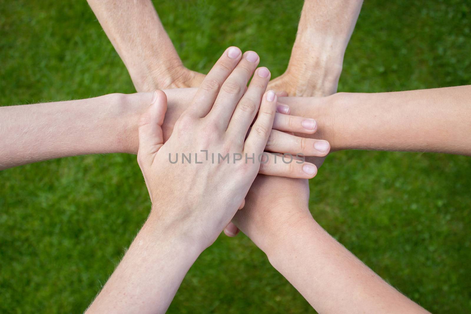 Several arms uniting above grass as symbol of friendship