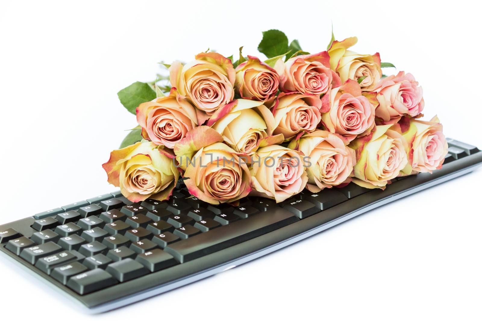 Bouquet of pink roses on keyboard isolated on white background