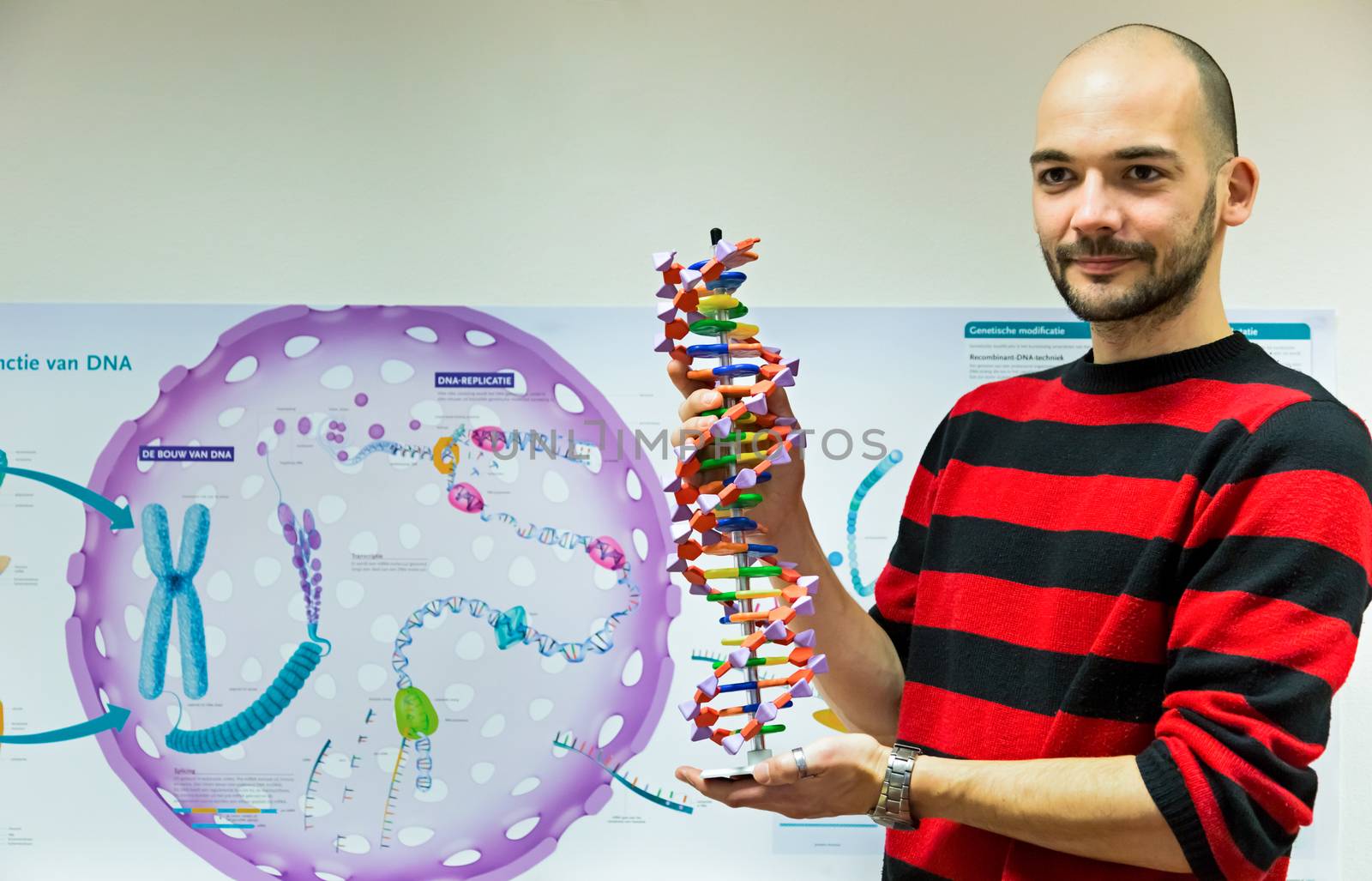 Biology teacher showing DNA model for education in front of wallchart