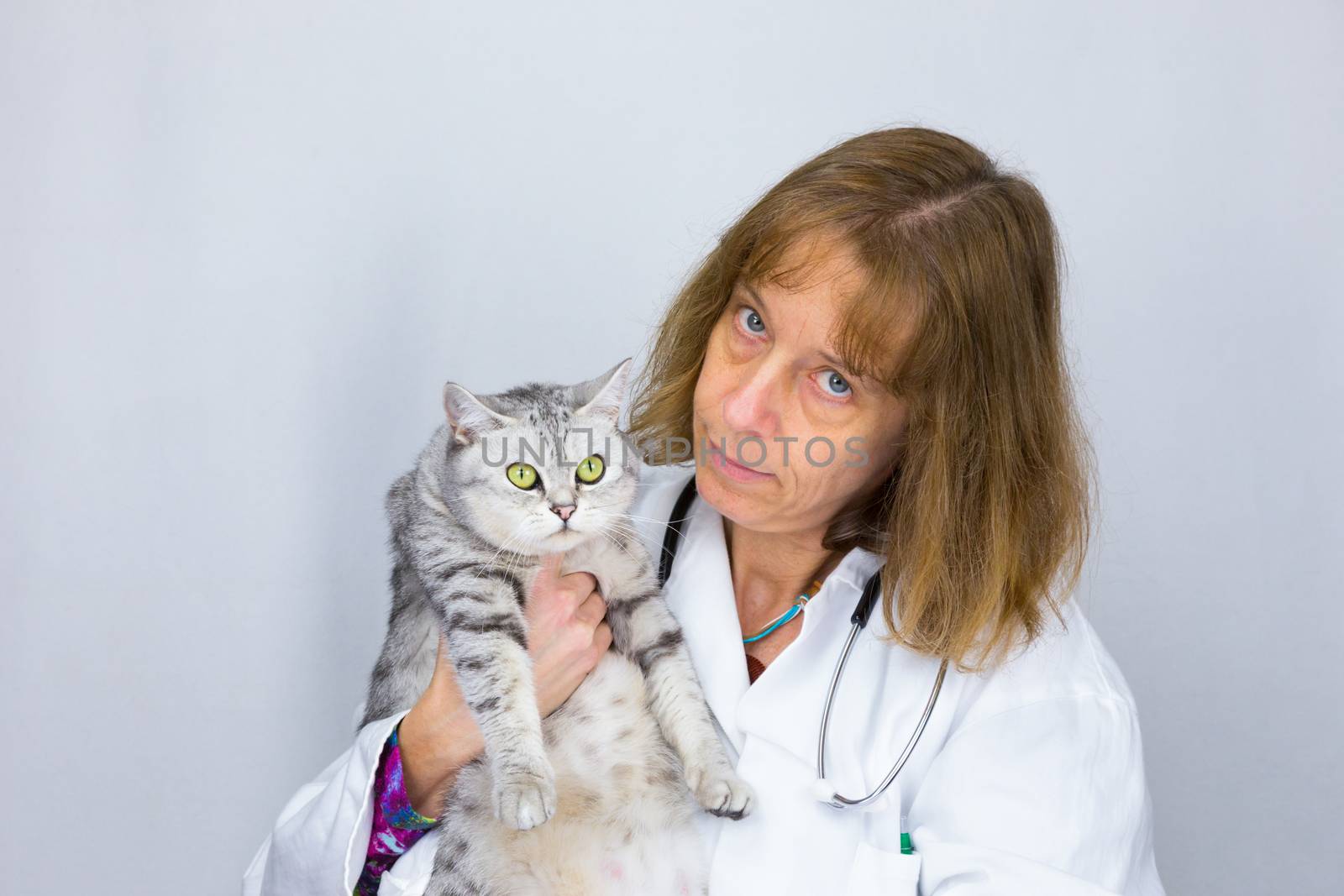 Female vet holding  cat by BenSchonewille