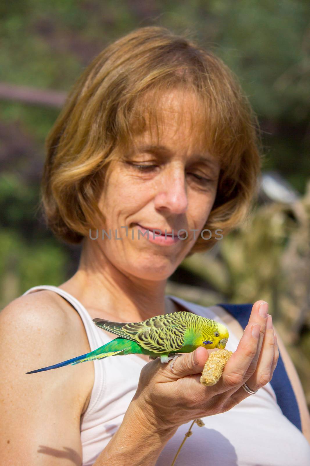 Woman feedingbudgerigar on hand by BenSchonewille