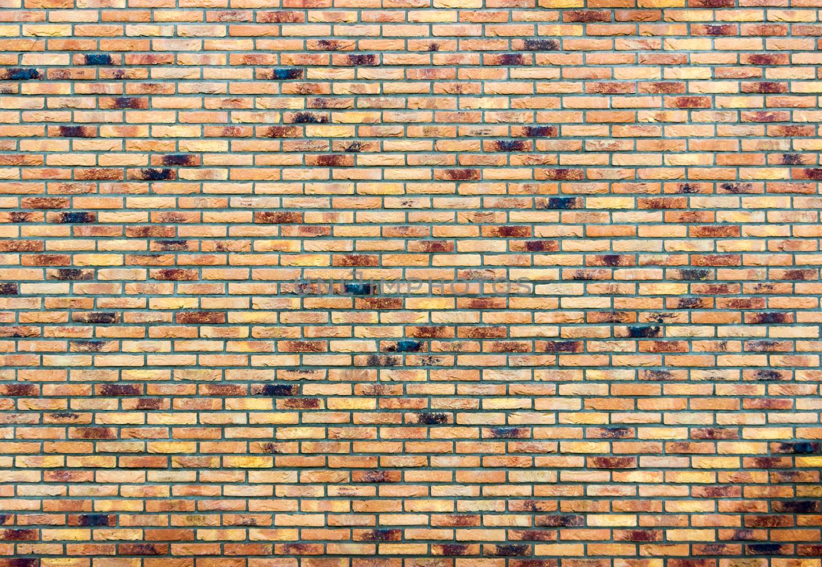 Brick wall with several colors by BenSchonewille