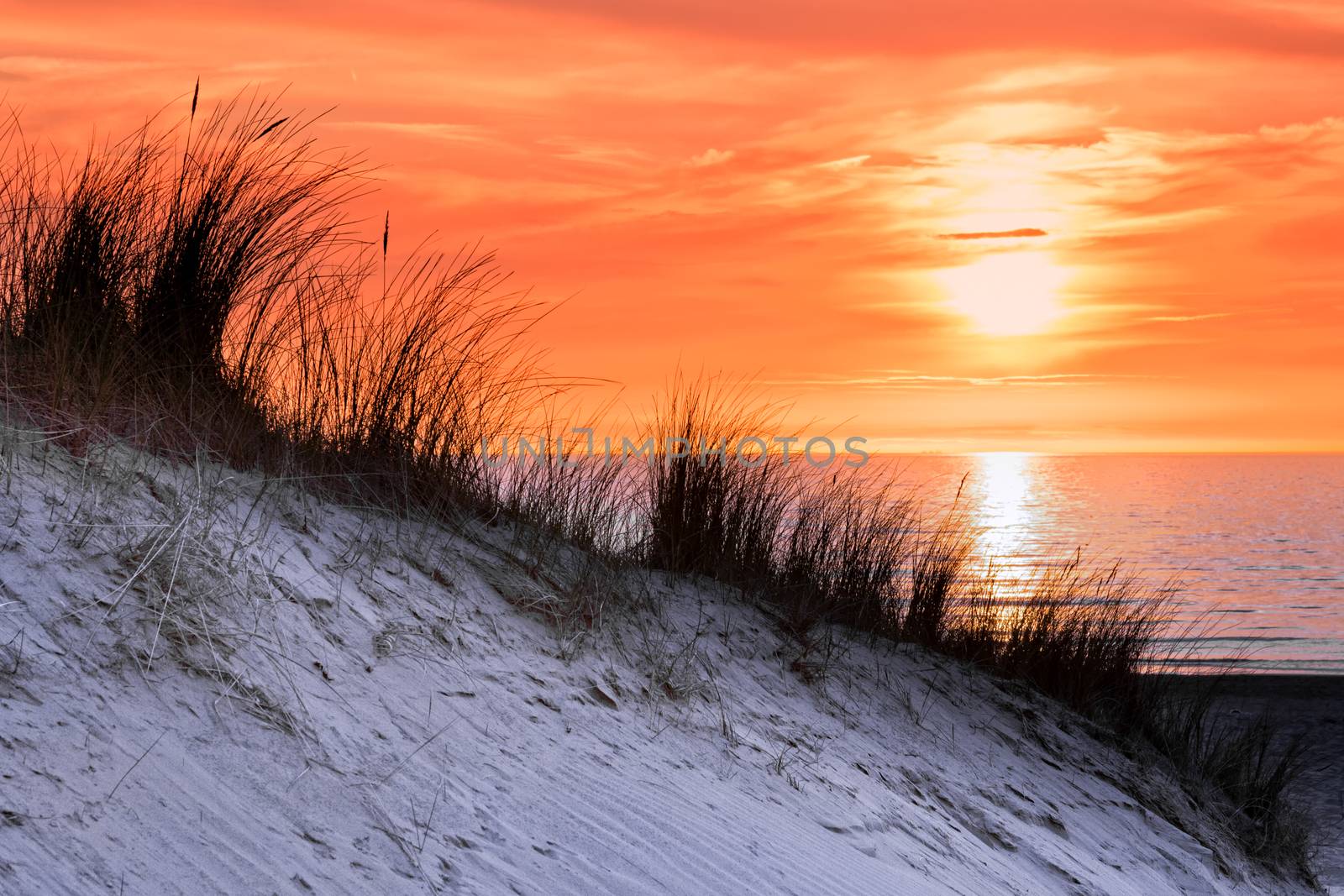 Orange sunset in evening with dune and sea at coast in netherlands