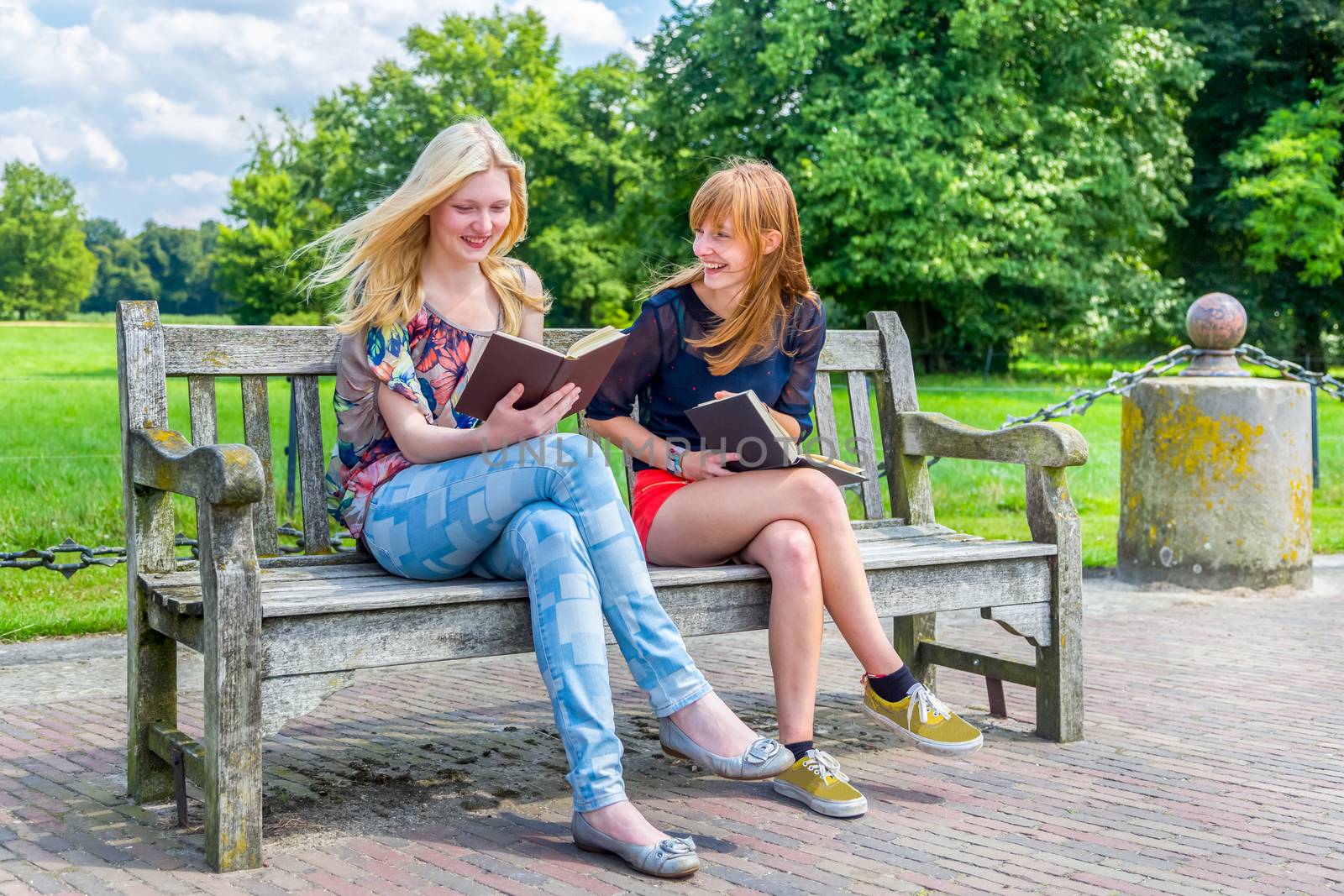 Caucasian teenage girls sitting on wooden bench in green park reading books