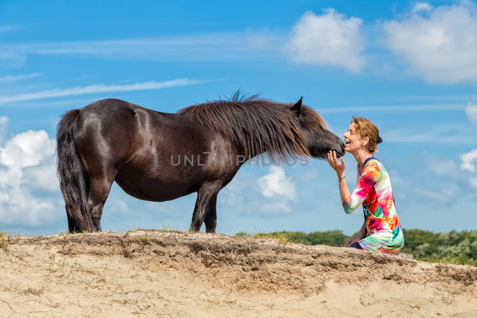 Contact between caucasian woman and black pony in front of blue sunny sky