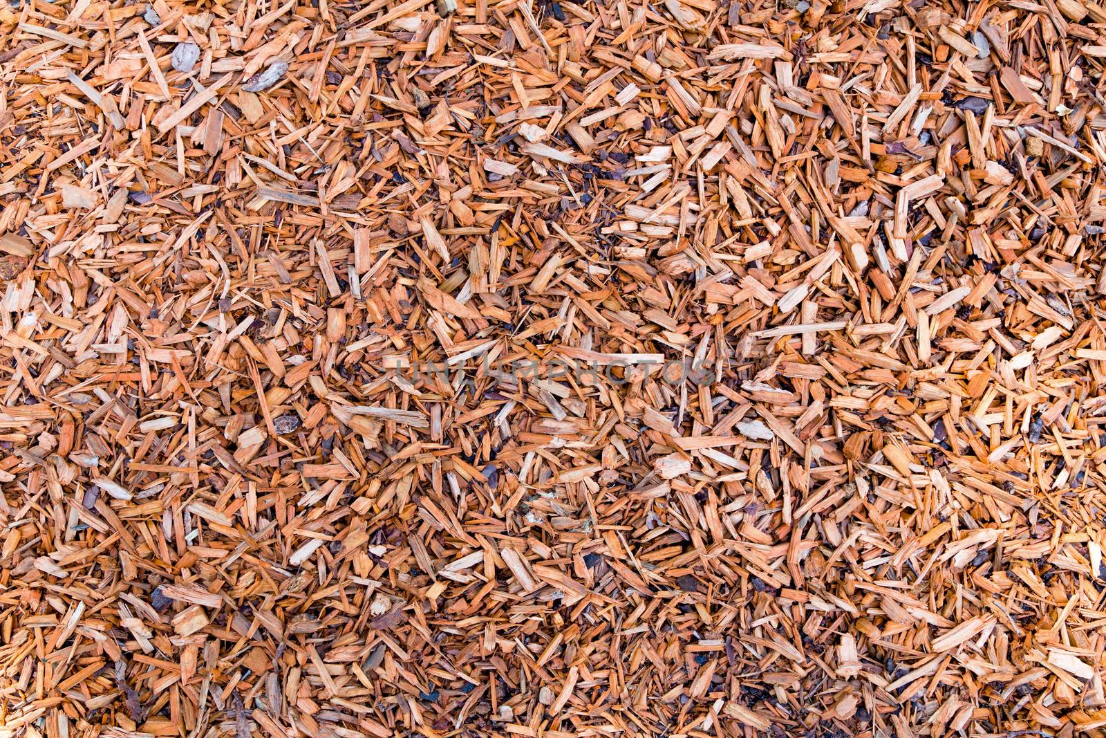 Woodchips little pieces of wood on ground as background
