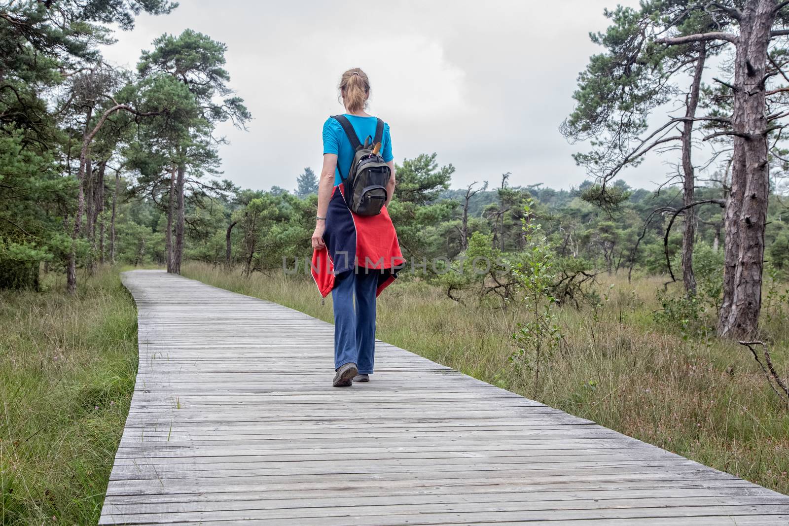 Woman hiking on wooden path in nature by BenSchonewille