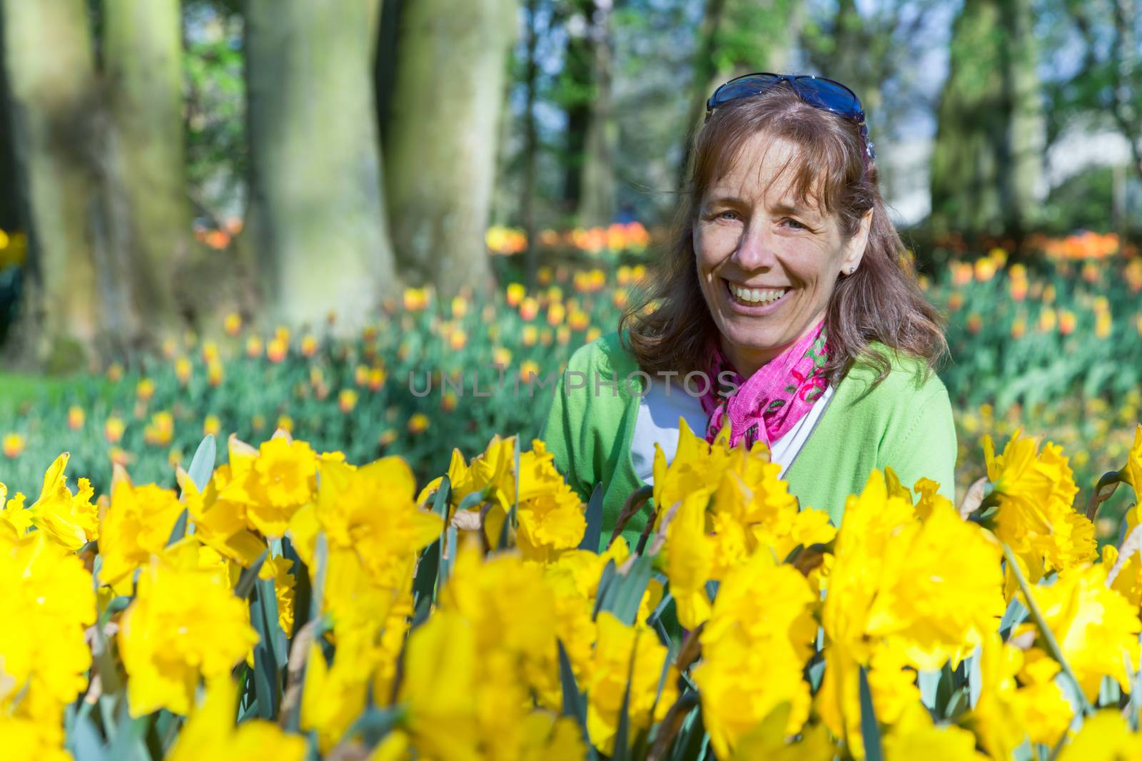 Caucasian woman sitting behind yellow daffodils field of flowers in park Keukenhof Holland