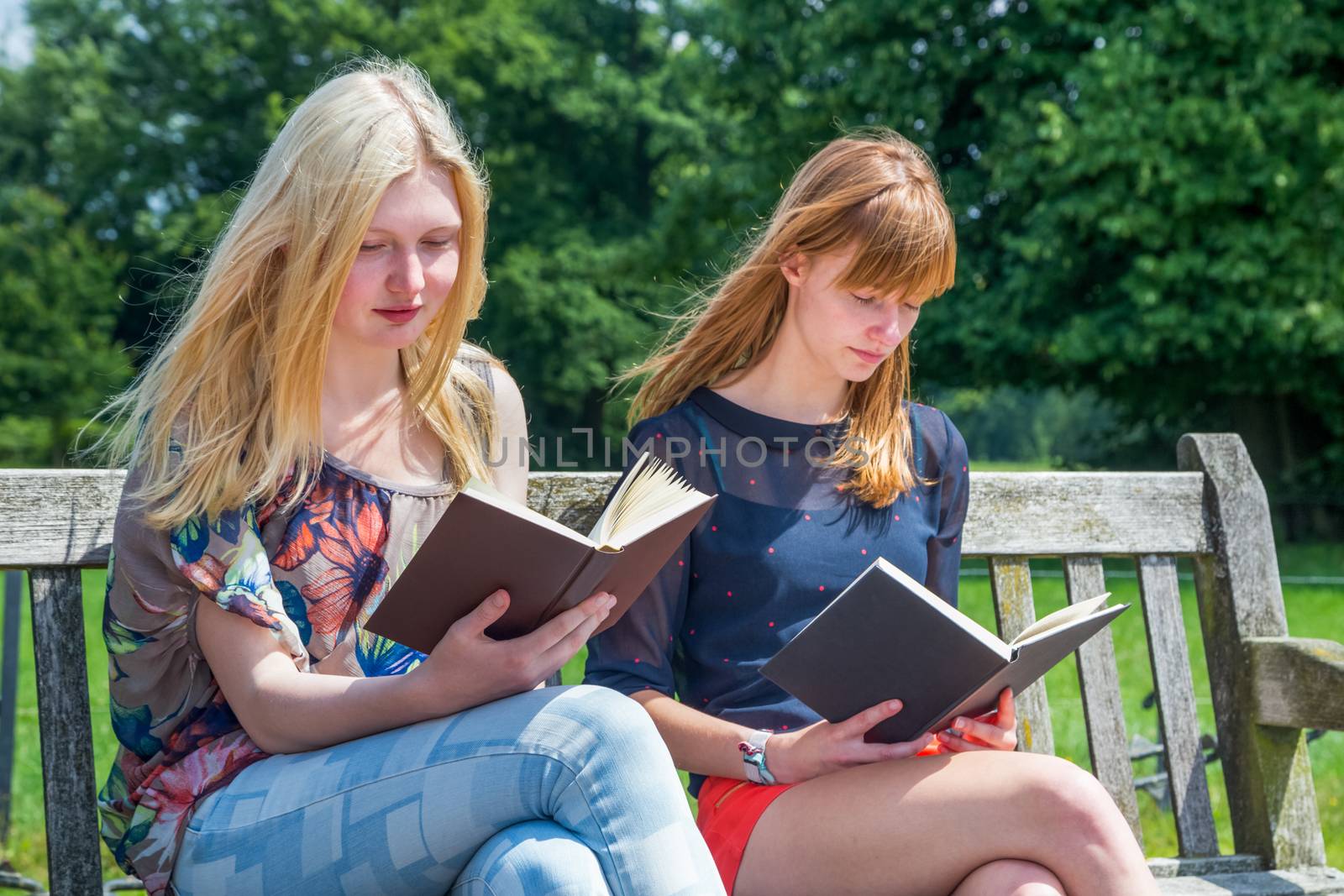 Two caucasian teenage girls reading books on bench in green nature