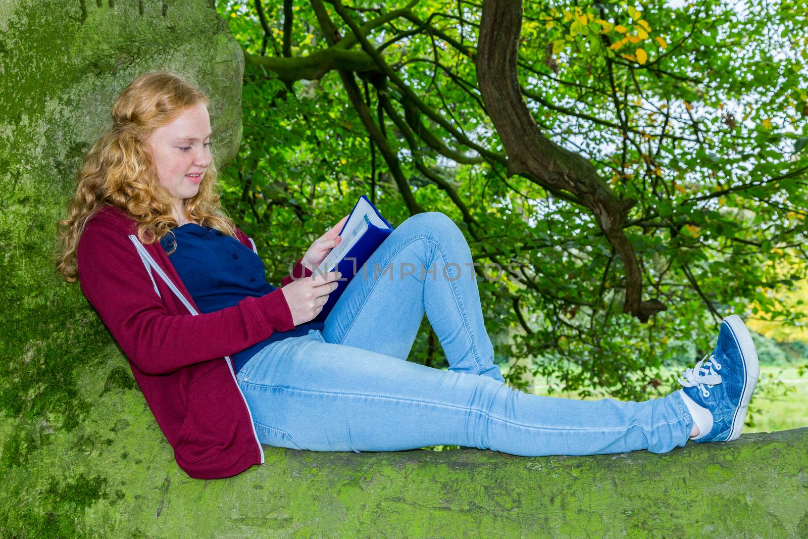 Caucasian teenage girl with red hair lying reading book in green tree