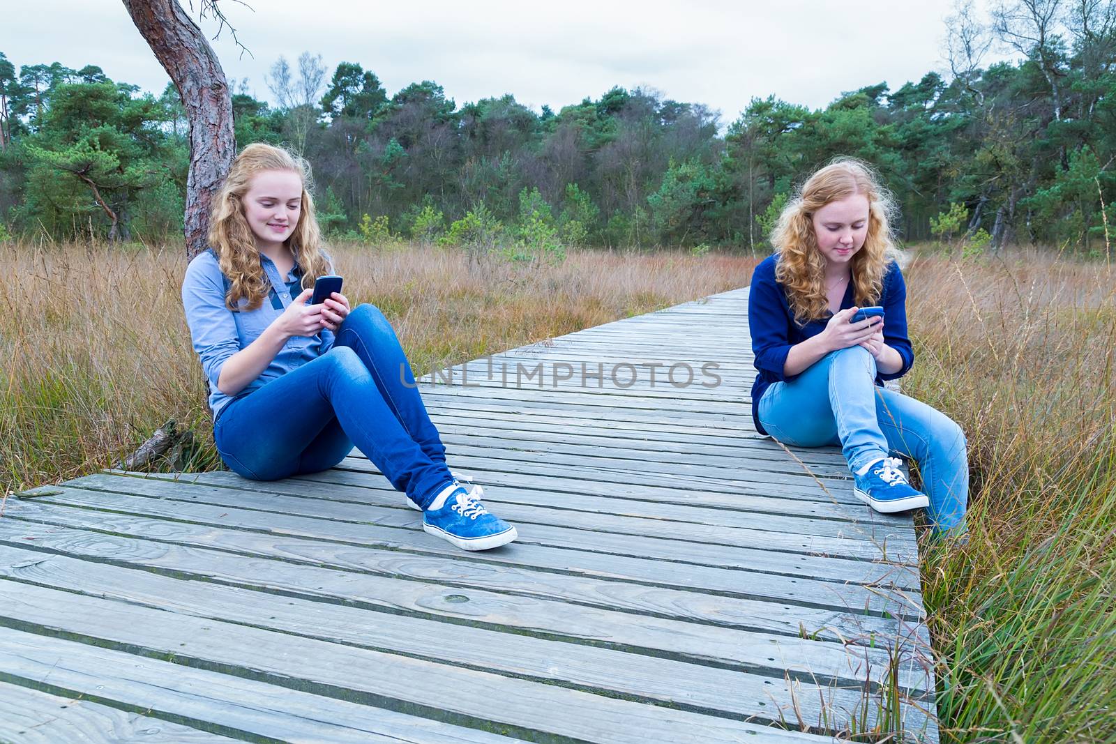 Two caucasian teenage girls operating mobile phones on wooden path in nature