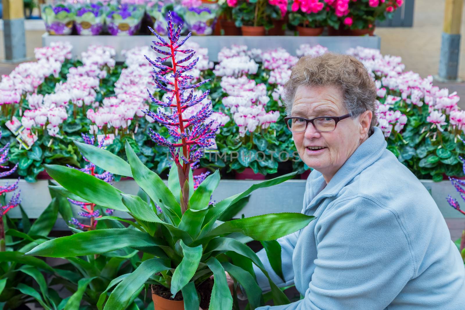 Senior woman showing flowering plant in shop by BenSchonewille