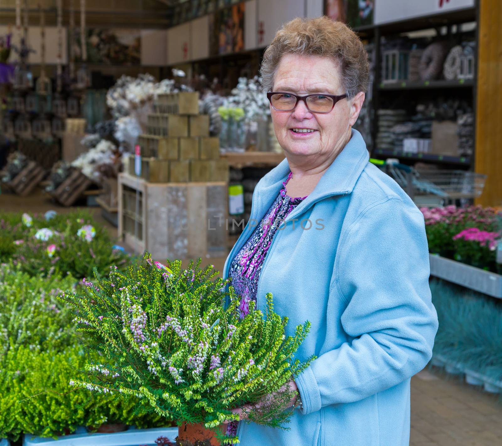Elderly woman buying heather in garden shop by BenSchonewille