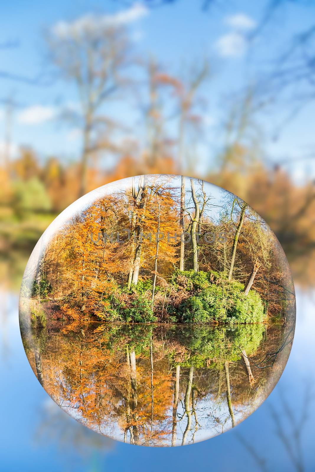 Glass sphere with fall nature reflection in it by BenSchonewille