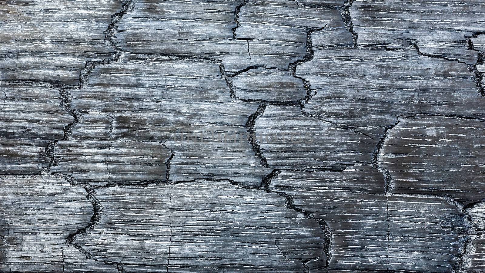 Burnt black wood with texture and structure suitable as background
