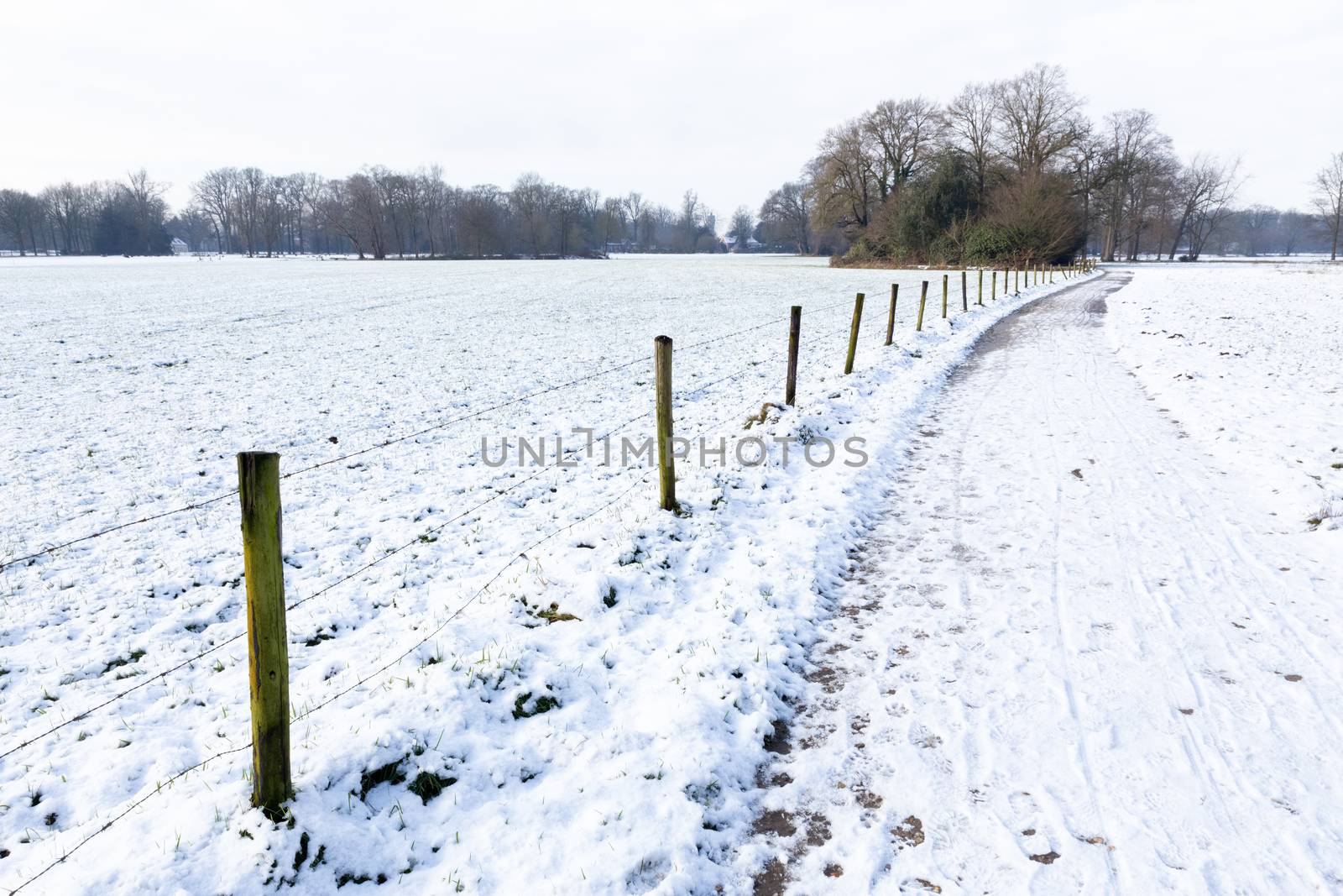 Snow landscape with footpath between pastures in winter season