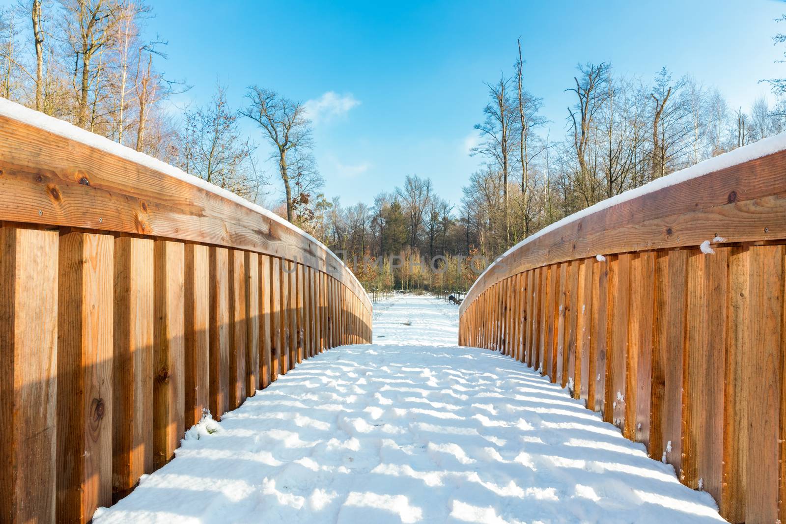 Snow on wooden bridge in forest by BenSchonewille