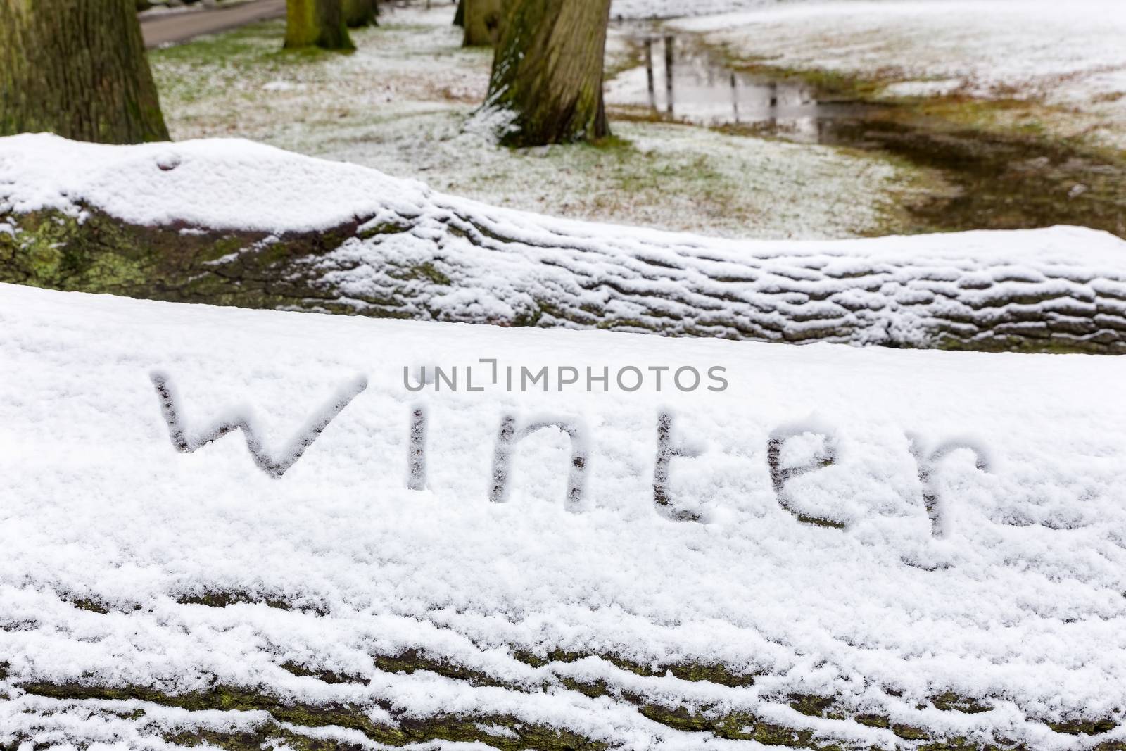 Word winter written in snow on oak tree trunk by BenSchonewille
