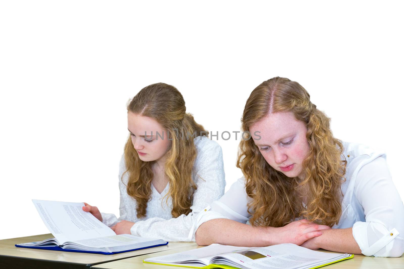 Two dutch teenage girls studying books for education by BenSchonewille