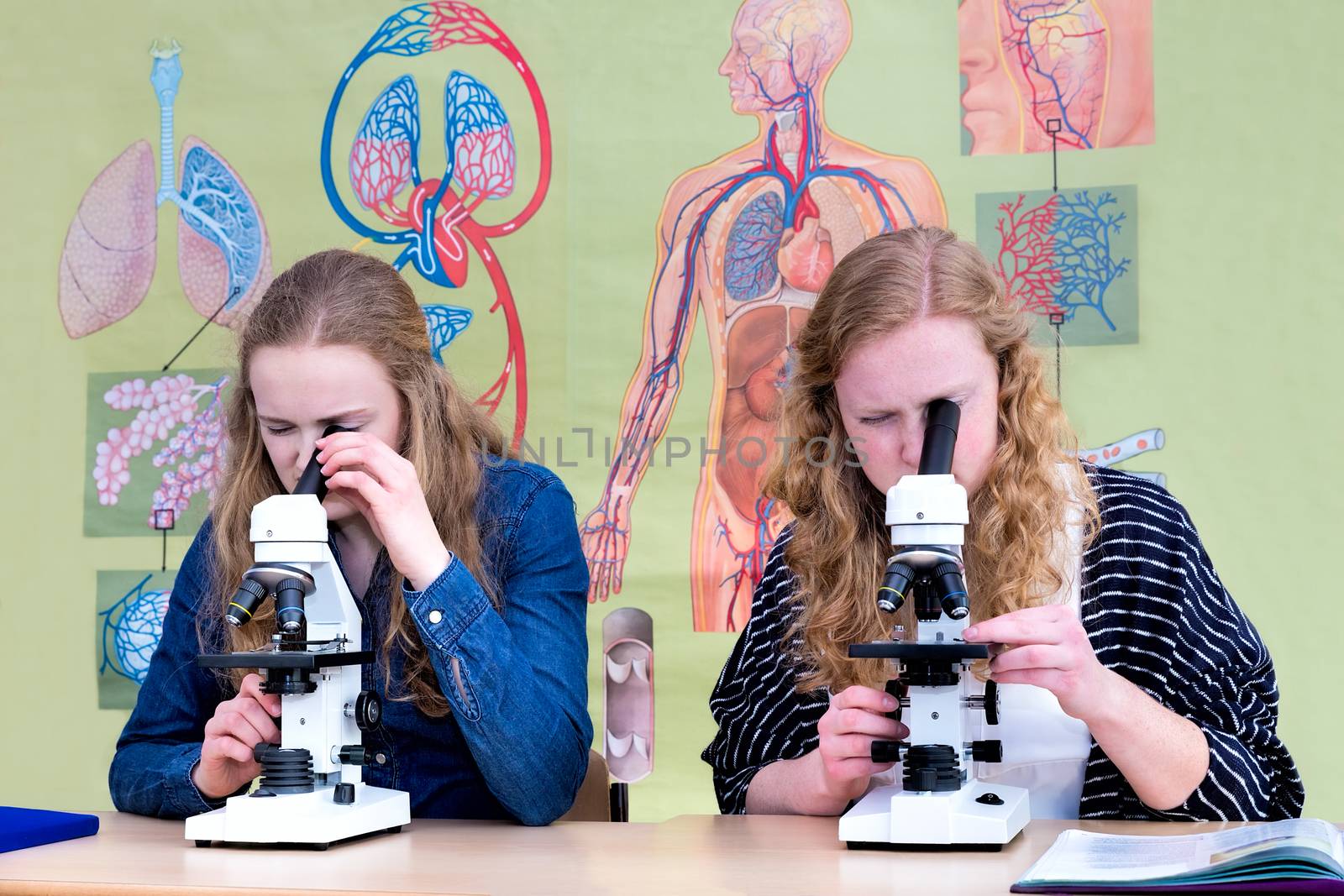 Two dutch teenage girls looking through microscope by BenSchonewille