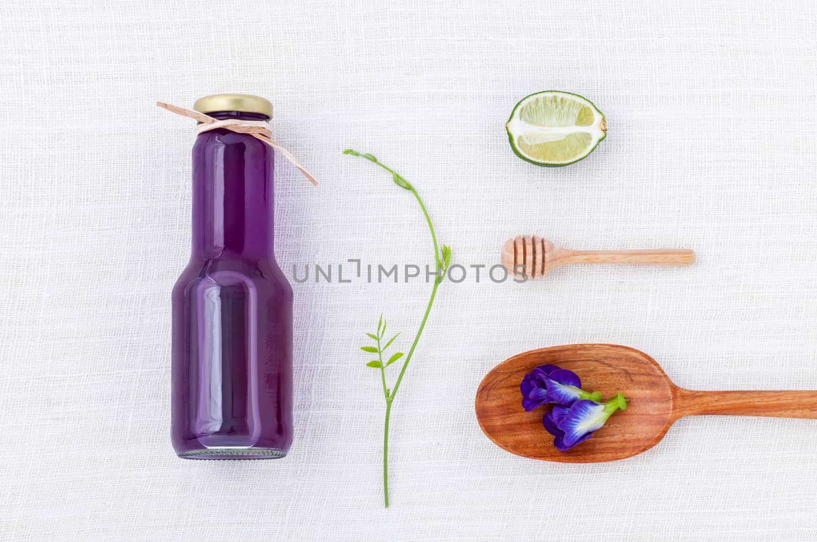 pigeon wing pea healthy drinking water on white table.