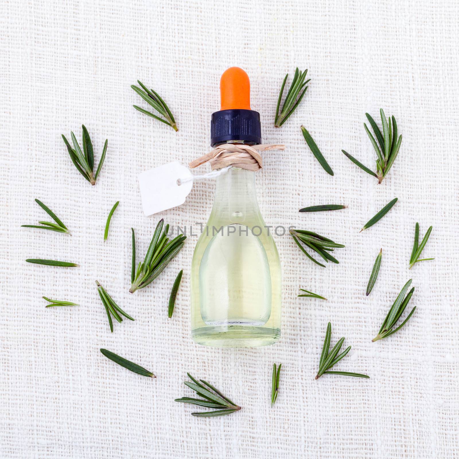 Natural Spa Ingredients  rosemary essential oil for aromatherapy by kerdkanno