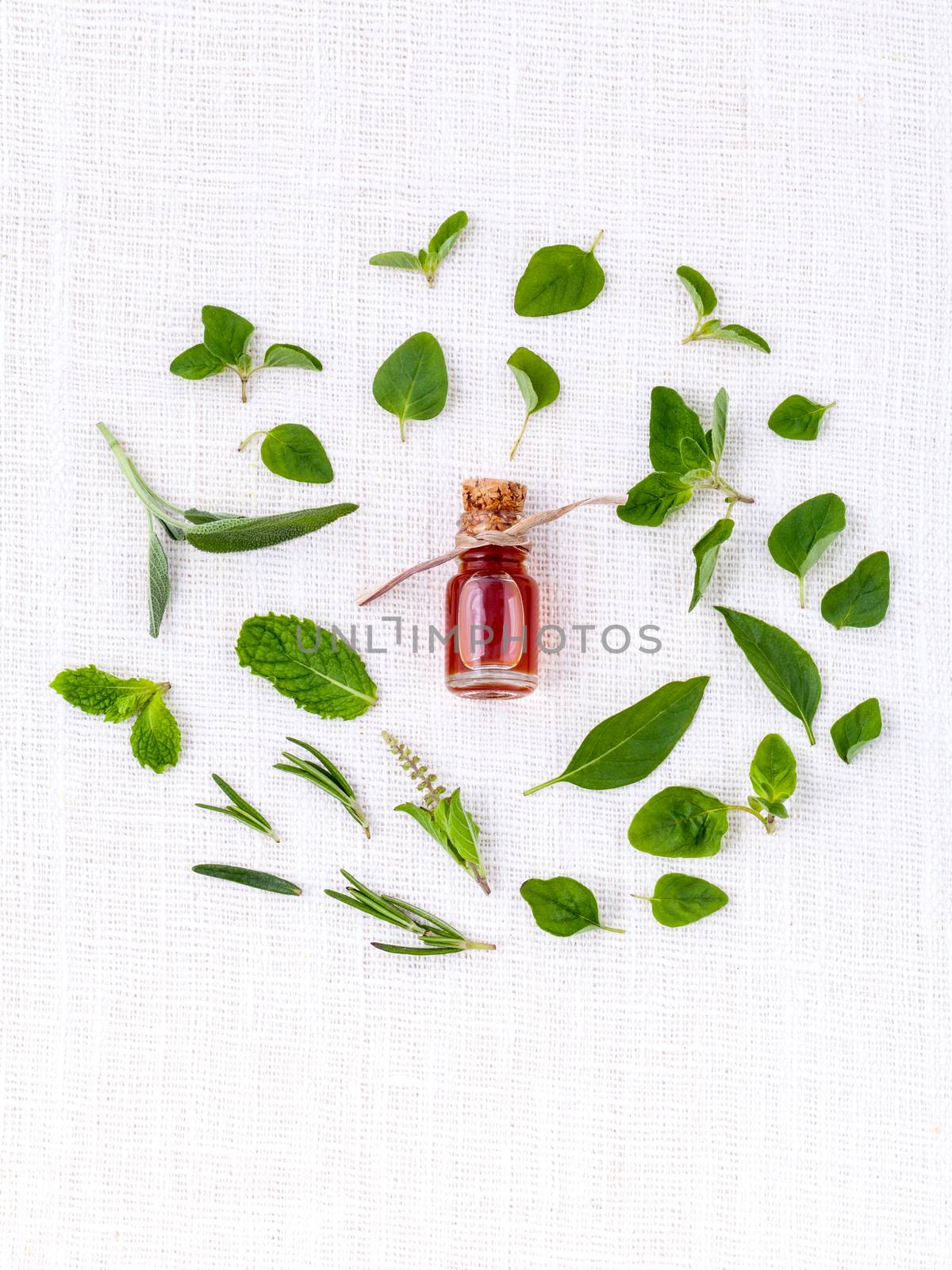 Bottle of essential oil with herb holy basil leaf, rosemary,oregano, sage,basil and mint on white background.