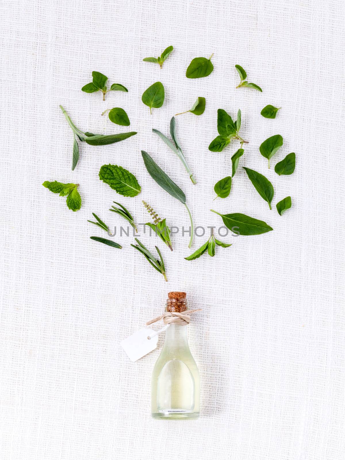 Bottle of essential oil with herb holy basil leaf, rosemary,oregano, sage,basil and mint on white background.