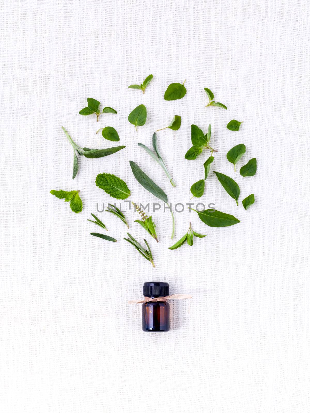 Bottle of essential oil with herb holy basil leaf, rosemary,oregano, sage,basil and mint on white background.