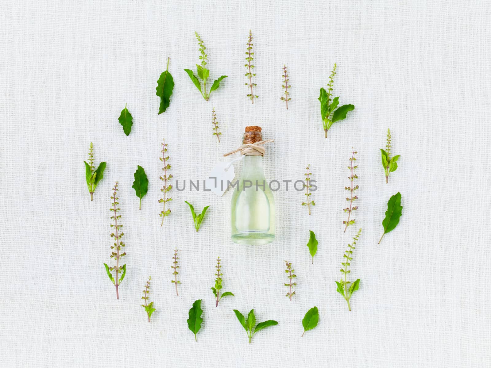 Bottle of essential oil, with holy basil leaf and flower.