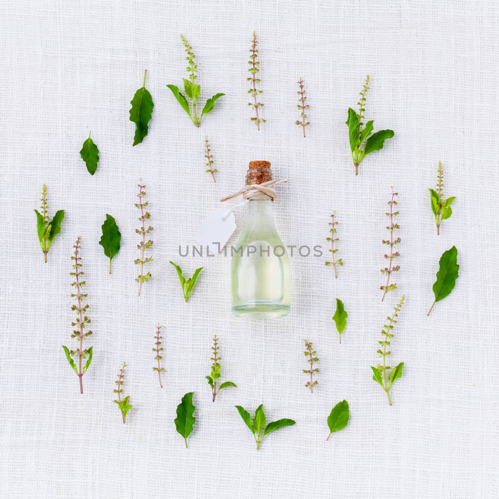 Bottle of essential oil, with holy basil leaf and flower. by kerdkanno