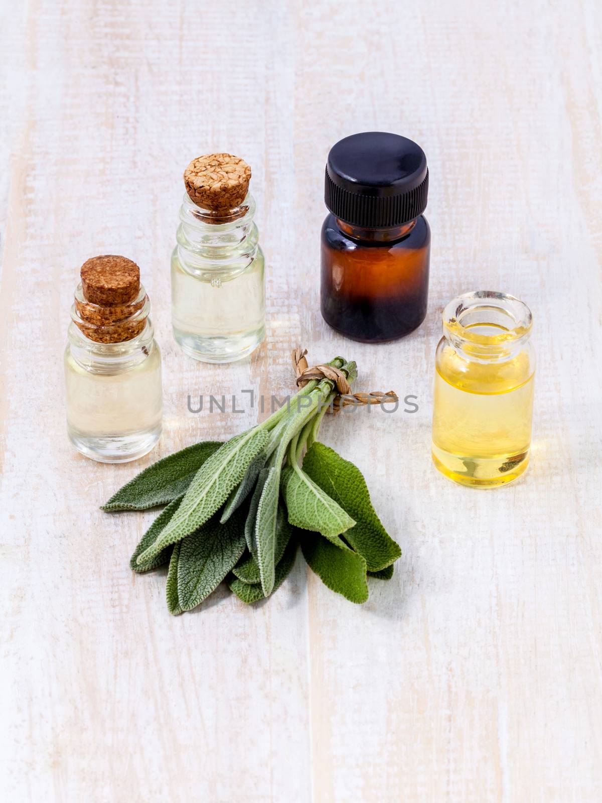 Natural Spa Ingredients  sage essential oil for aromatherapy. by kerdkanno