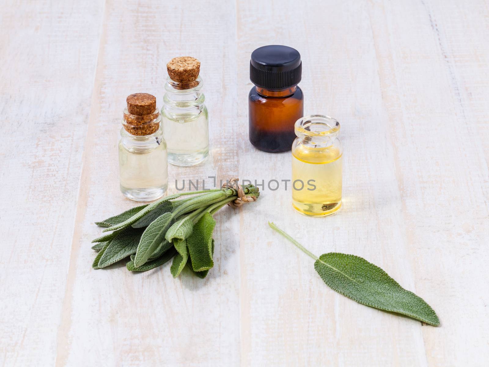 Natural Spa Ingredients  sage essential oil for aromatherapy.