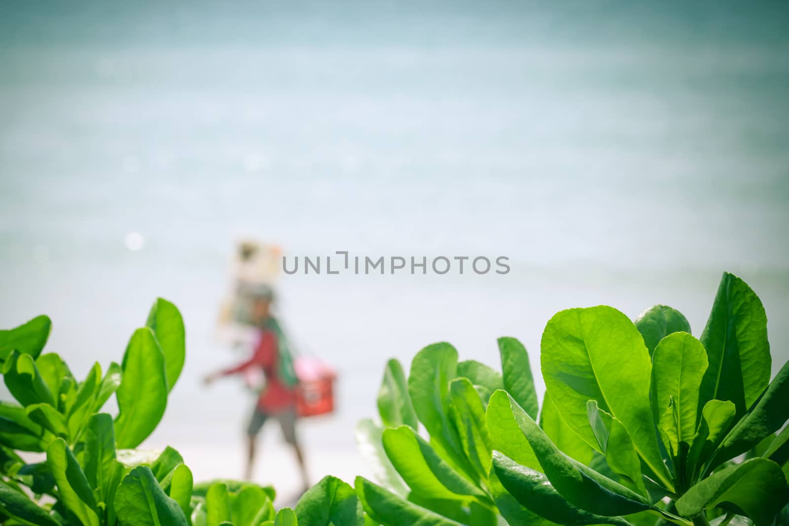 Blurred of ice cream seller at tropical beach on summer . by kerdkanno