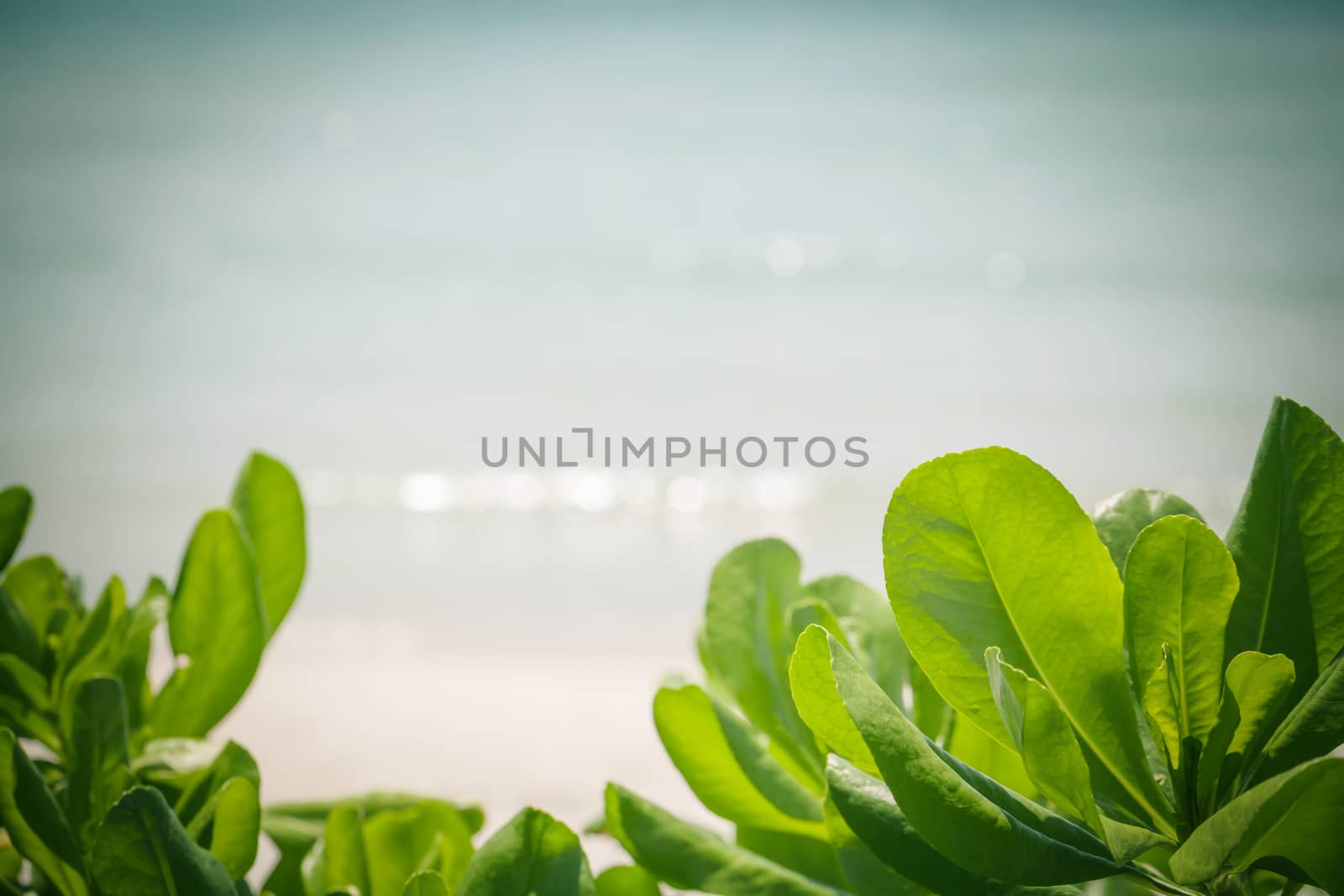 Blurred of wave bokeh  at tropical beach on summer .