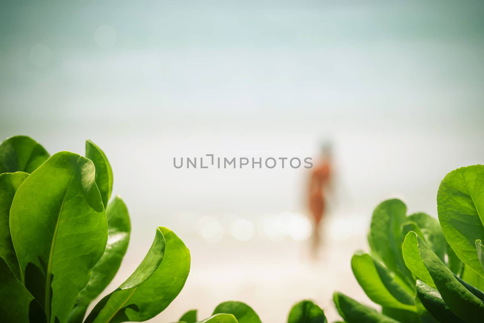 Blurred of bikini girl at tropical beach on summer . by kerdkanno
