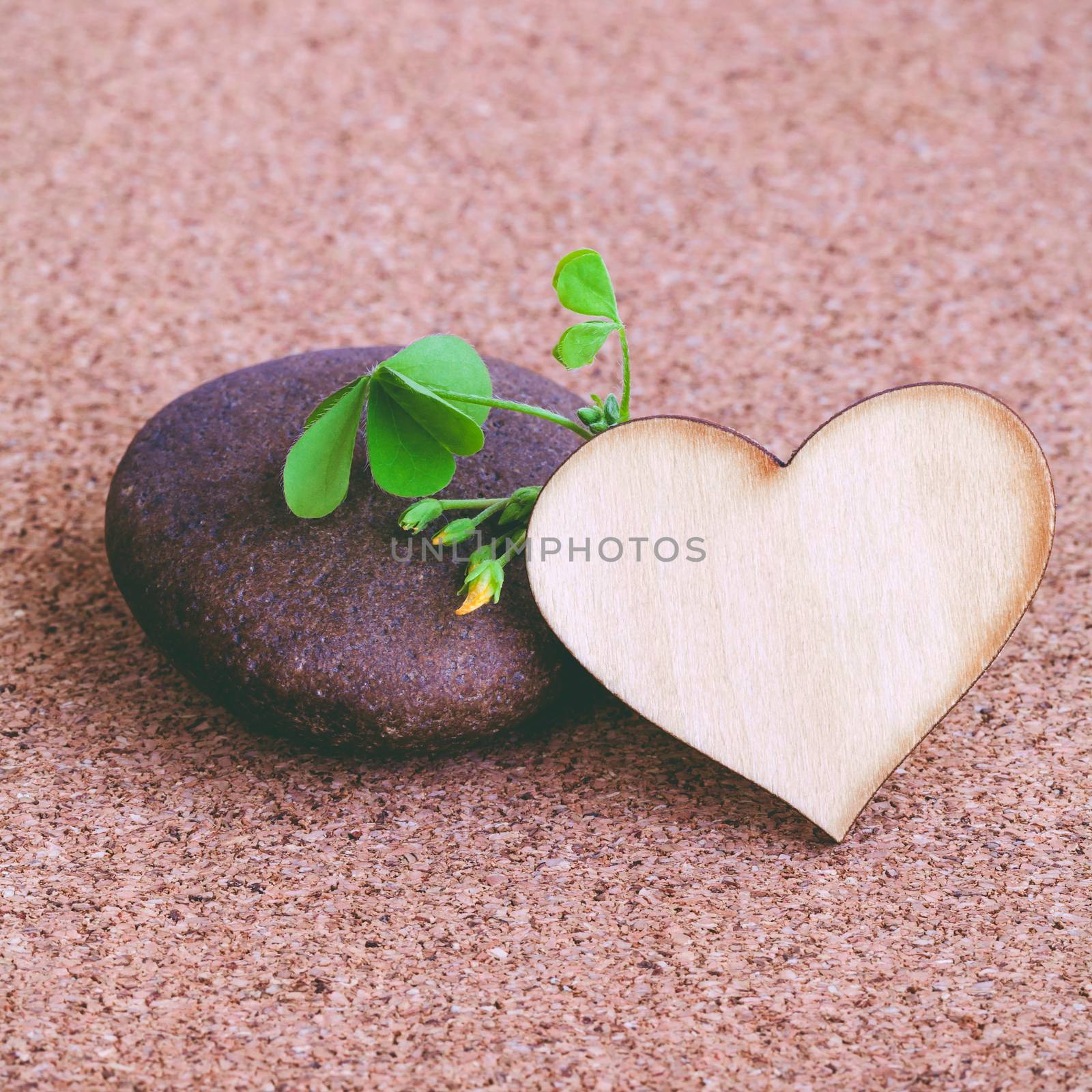Closeup clover leaf and stone ,wooden heart on cork background.