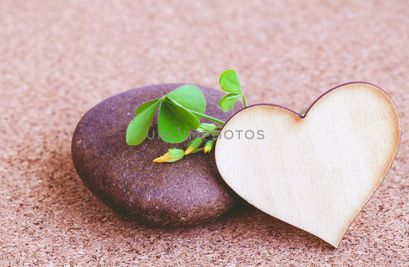 Closeup clover leaf and stone ,wooden heart on cork background. by kerdkanno