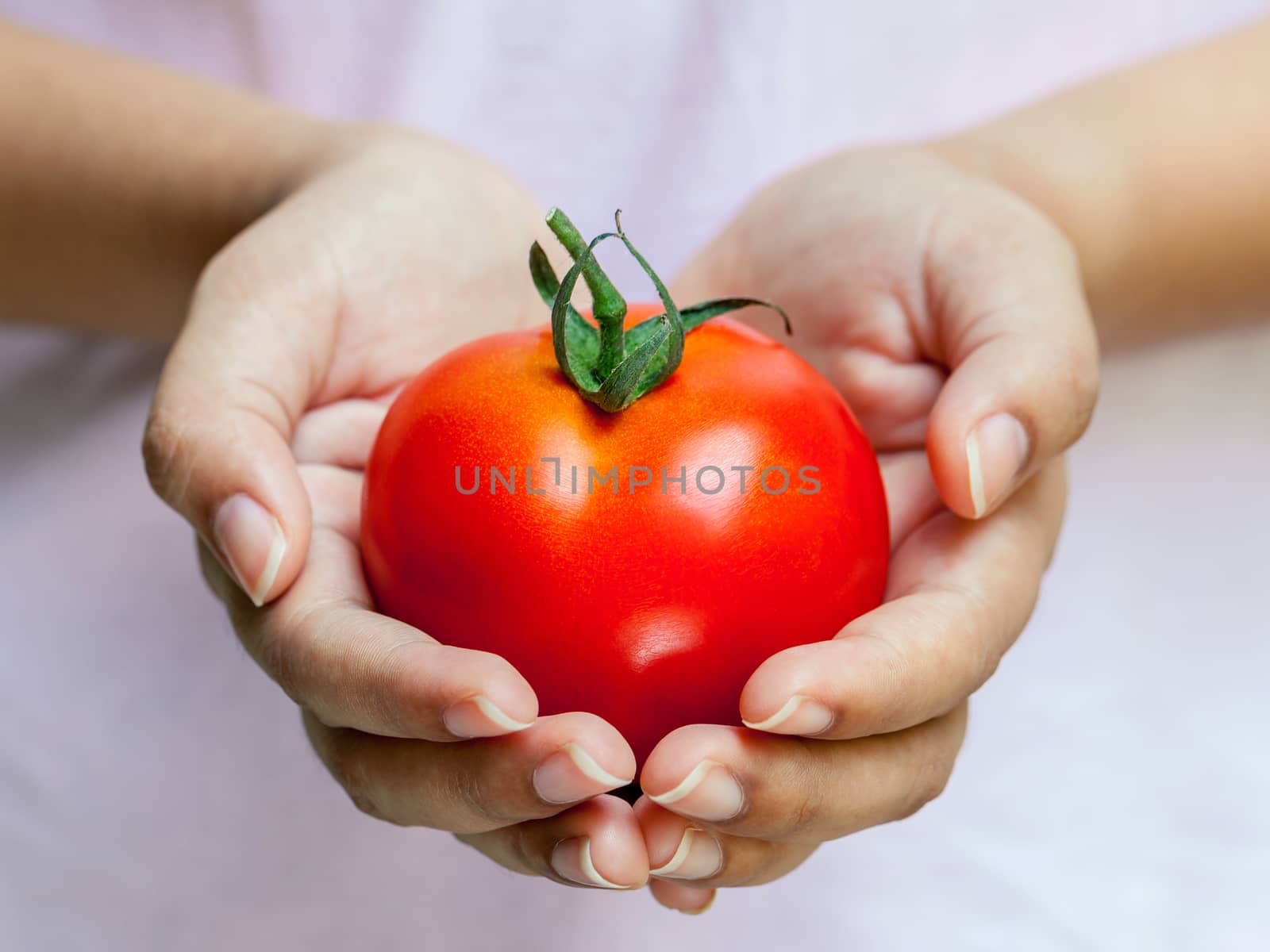 The Girl holding tomato. - Healthy food concept. by kerdkanno