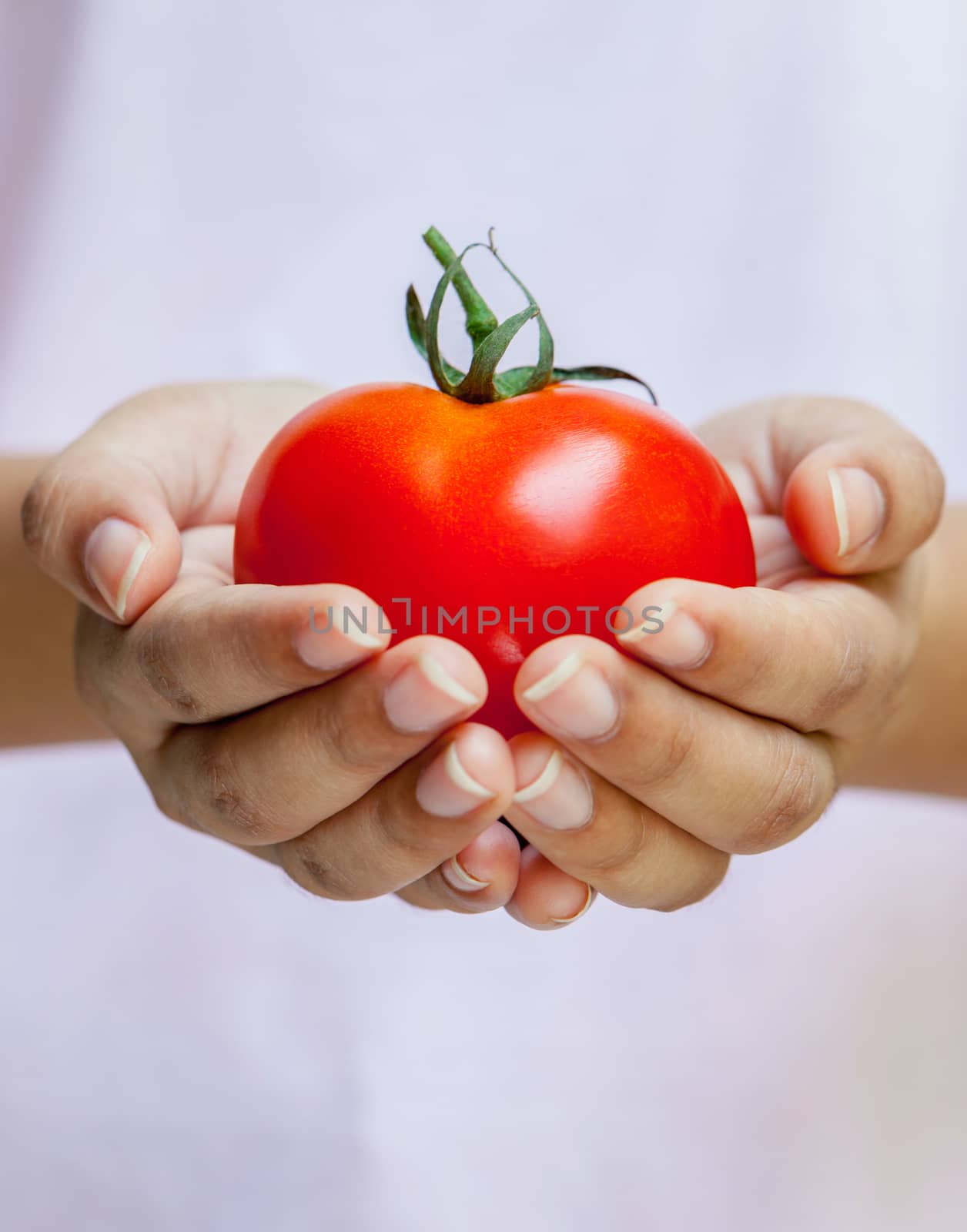 The Girl holding tomato. - Healthy food concept.
