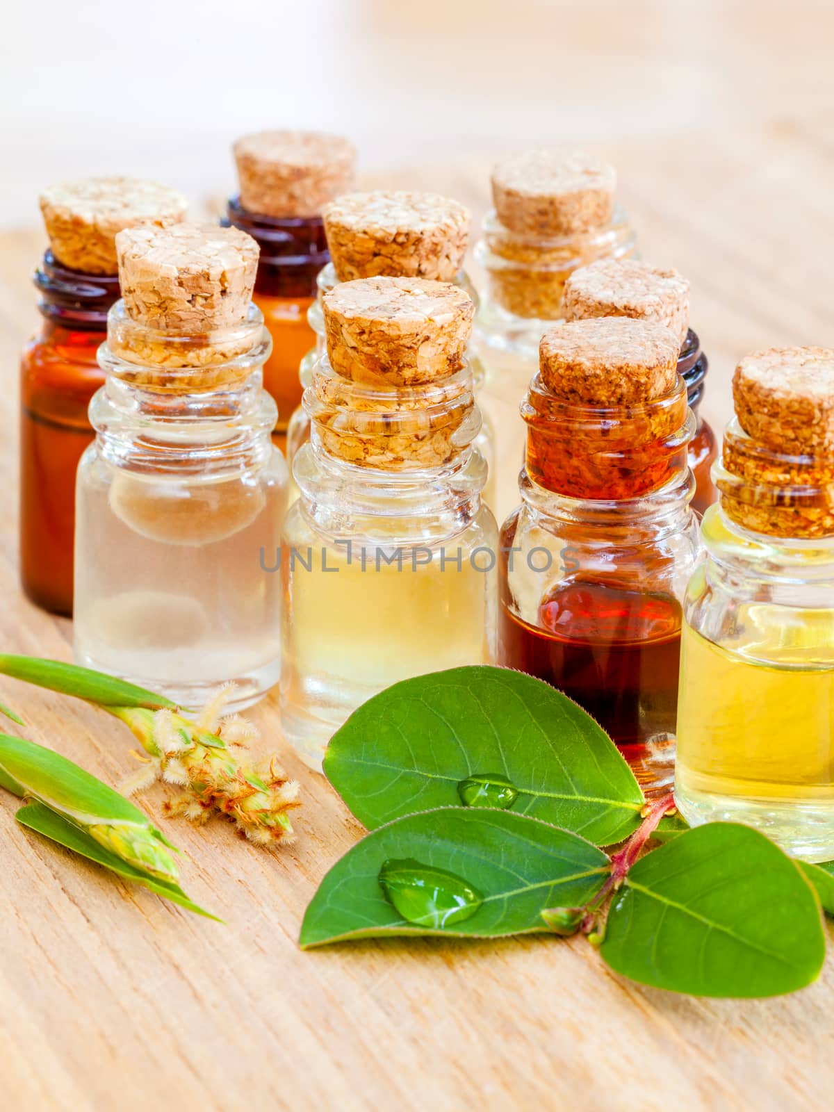 Spa Essential Oil - Natural Spas Ingredients for aroma aromatherapy.