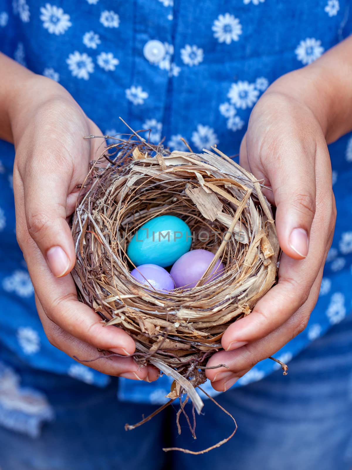 Nest with Colorful eggs in woman's hands.