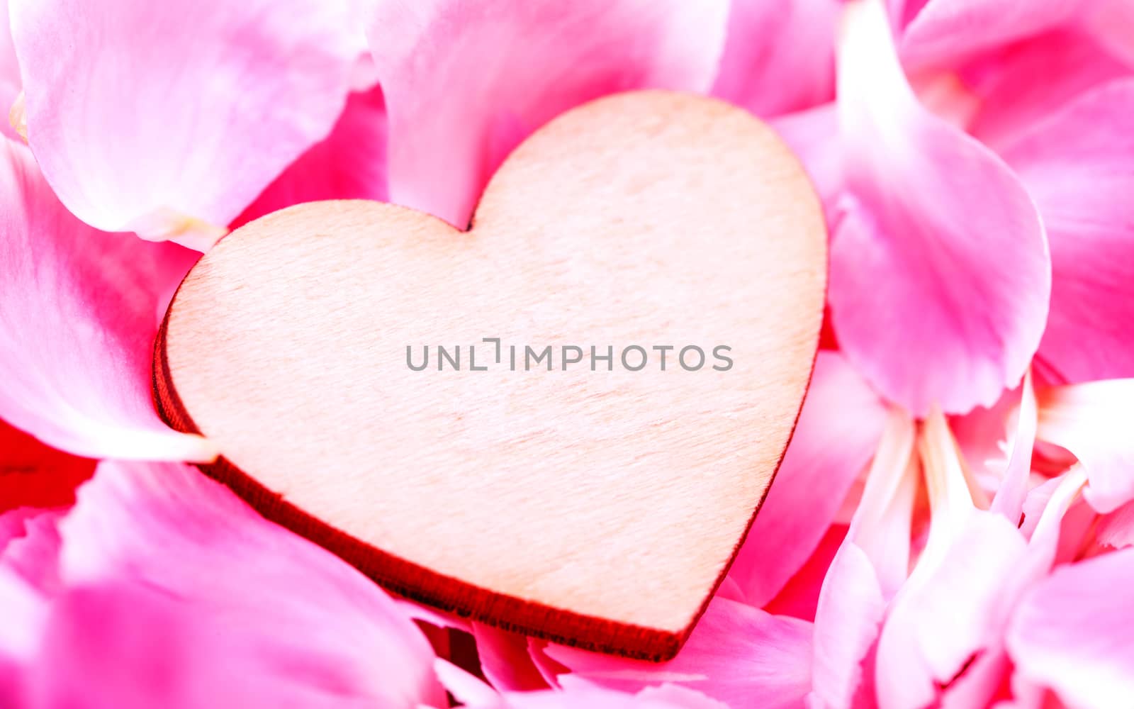 The wooden hearts on pink carnation petal.  - Concept for love a by kerdkanno