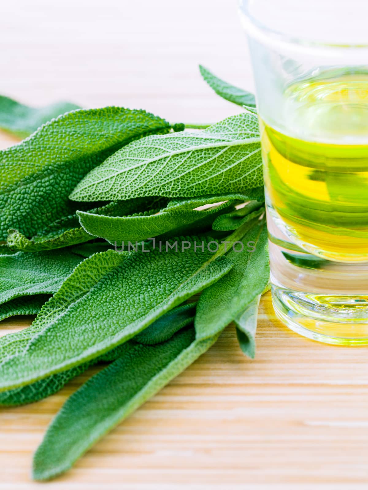 Fresh sage put on wooden board. - Spices ingredient with macro s by kerdkanno