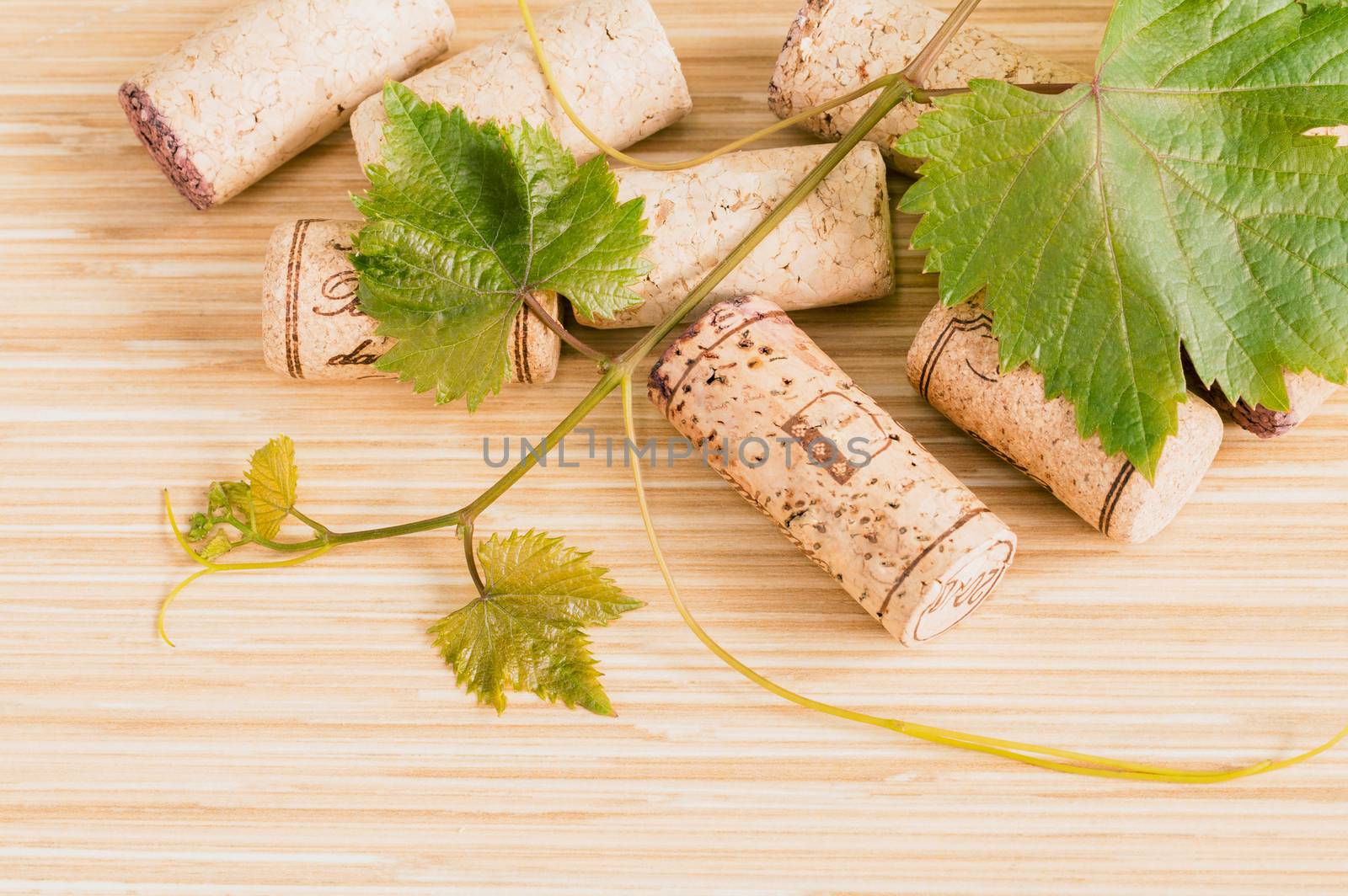 Wine bottle with vine and wine cork put on the board. by kerdkanno