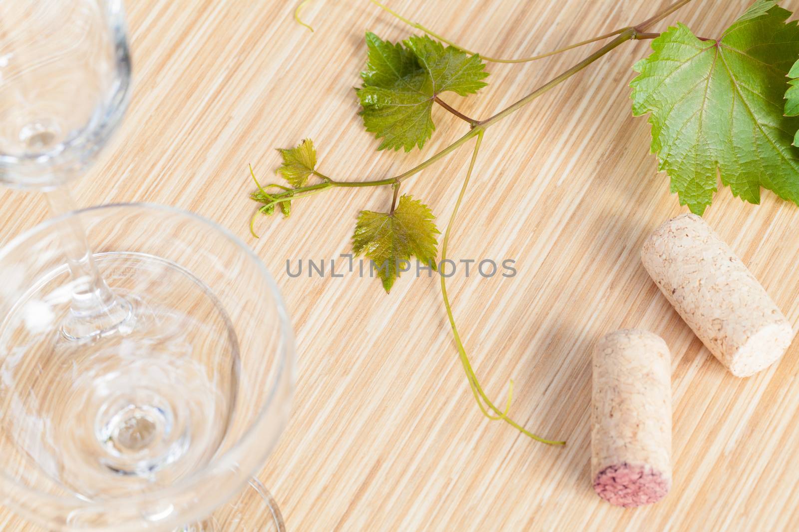 Wine bottle with vine and wine cork put on the board.
