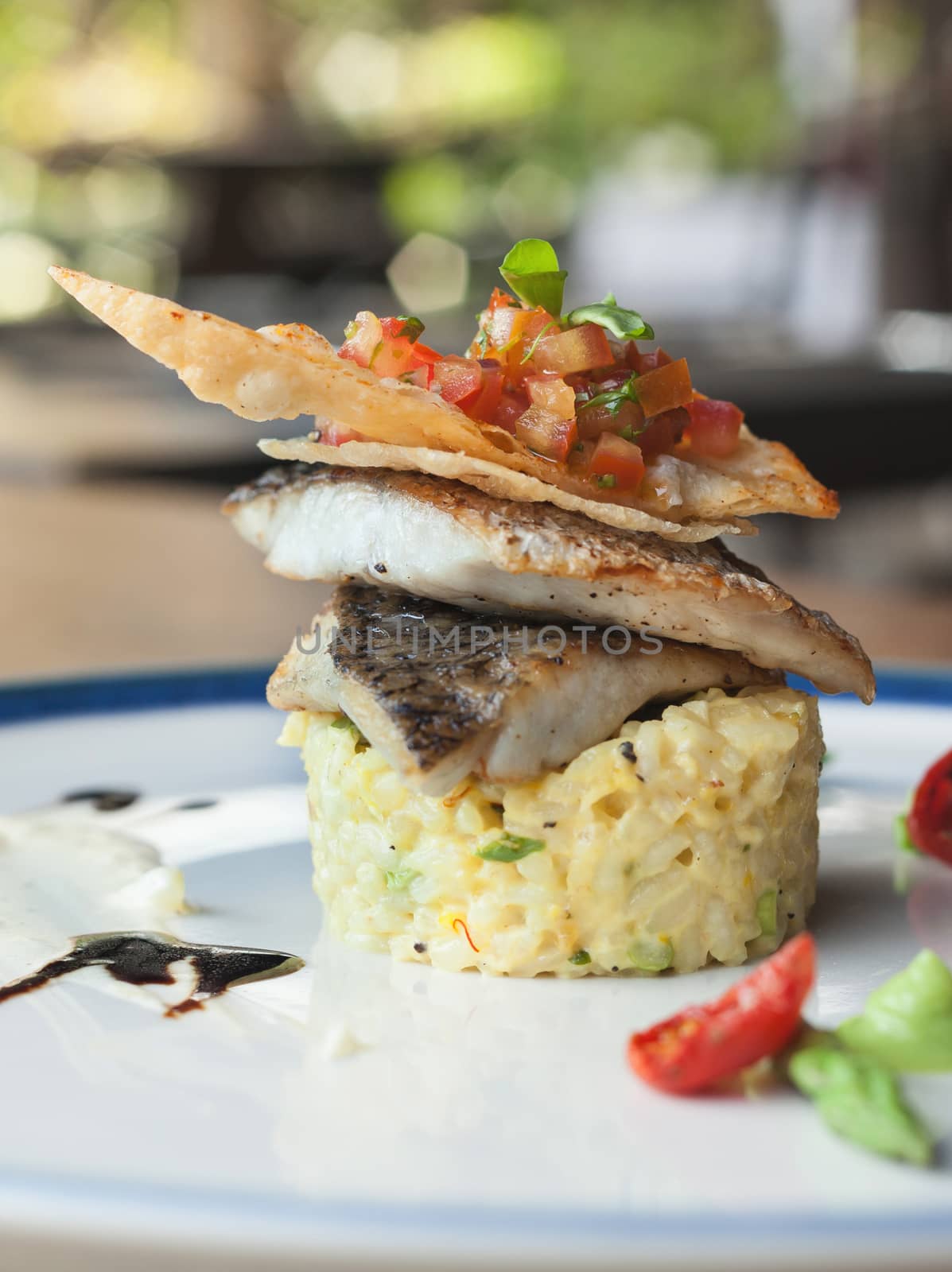 Fillet sea bass with vegetable and rice. by kerdkanno